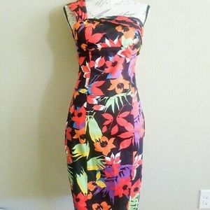 Cache One Shoulder Pencil Dress Built In Bra